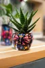 A succulent plant in a colorful pot with a butterfly design, placed on a wooden surface. Produktbild-Vorschau
