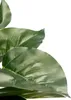 Umělá rostlina PHILODENDRON, 40 cm Náhled obrázku produktu 2