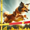 Hobby Horse Skippi 135cm skoková překážka Náhled obrázku produktu 12