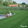Semeno okrasné trávy – Elegant (1 kg na 50 m2) - Organifer Náhled obrázku produktu 4