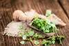 SAFLAX Anzucht Set - BIO - Oregano - Origanum heracleoticum Produktbild-Vorschau 6