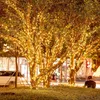 5 m Eisregen‑Lichtervorhang mit 200 LED, 8 Lichtmodi und Produktbild-Vorschau 10