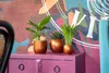 Three potted plants on a purple dresser in front of a colorful mural. Produktbild-Vorschau