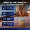 Plid Bootslack 2,5L + Pinselset 3-tlg. Farblos Glänzend – Produktbild-Vorschau 5