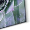 DEQORI Glasbild Echtglas 50x50 cm 'Taufrische Symmetrie' Produktbild-Vorschau 5