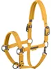 Eskadron Platinum Halfter " FAUX LEATHER DOUBLE PIN ", Produktbild-Vorschau 2