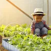 Relaxdays Rasenkante, 8 m, Beetbegrenzung aus Metall, Produktbild-Vorschau 3