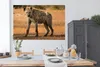 MuchoWow® Poster Hyäne - Afrika 180x120 cm - Fotoplakat Produktbild-Vorschau 3