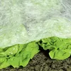 HAUSHALT INTERNATIONAL Gartenvlies Pflanzenschutzsack Produktbild-Vorschau 5