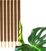 BigDean 6er Set Pflanzstäbe Kokos 110 cm - Monstera Produktbild-Vorschau 1