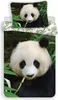 JERRY FABRICS Obliečky Panda  Bavlna, 140/200, 70/90 cm Náhľad obrázku produktu 1