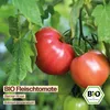 Samenliebe  Tomate Samen | Berner Rose - rosa & sehr Produktbild-Vorschau 4
