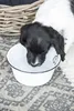 LS-LebenStil Vintage Fressnapf für Hunde Emaille Weiß Produktbild-Vorschau 3