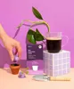 My Coffee Cup Lungo Bellissimo, Kávová kapsula, Lungo, Náhľad obrázku produktu 4