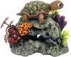 Nobby Décoration d'aquarium Tortue sur rocher avec plantes Voir les images du produit 2