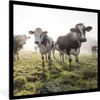 MuchoWow® Gerahmtes Poster Kühe - Licht - Gras - Tiere Produktbild-Vorschau 1
