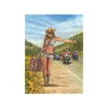 ANATOLIAN Puzzle American Gypsy 1000 Teile Produktbild-Vorschau 1