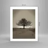 Poster - Poster ohne Rahmen - Baum Schnee Sepia - 40x50 cm Produktbild-Vorschau 4