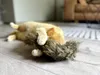 Aumüller Katzenspielzeug Frettchen grau mit Füllung 42 x 10 Produktbild-Vorschau 3