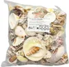 Muschelmix 'Extra Large', Gewicht ca. 1kg | Muscheln und Produktbild-Vorschau 2