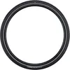 Schwalbe Motion Big Apple 28'' X 2.35 Tuhá mestská Náhľad obrázku produktu 1
