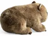 Carl Dick vombato in piedi di circa 29 cm peluche, peluche, Anteprima dell’immagine prodotto 4