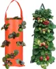 2 pièces de jardinière de fraises retournée - 8 trous de Voir les images du produit 1