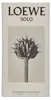 Solo Loewe Eau de Toilette Spray 100ml Produktbild-Vorschau 7