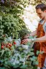 A man is tending to plants in a garden setting. Produktbild-Vorschau