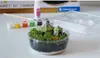 Clementoni Clementoni Harry Potter - Terrarium 19248 Voir les images du produit 4