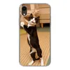 MuchoWow® Handyhülle Schutzhülle Hülle für iPhone XR Katze Produktbild-Vorschau 1