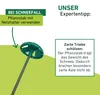 Windhager Housse en non-tissé Super-Protect XXXL 3,9 x 3,5 Voir les images du produit 5