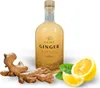 Saint Ginger Ingwerlikör // 0,7L 15% Produktbild-Vorschau 2