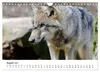 Unsere Wölfe - Ein Wildtier kehrt zurück (Wandkalender 2027 Produktbild-Vorschau 10