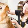 HAUSTIERSCHERE Hundeschermaschine Hundefriseur Produktbild-Vorschau 2