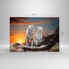 Bilder auf glas - Tiger weiß Rock Sonnenuntergang - 70x50cm Produktbild-Vorschau 3