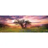 Heye Puzzle 29472, 2000 kusů, Umění Náhled obrázku produktu 1