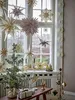 Bloomingville Stern ELIJAS mit Licht braun | Ø50x15cm Produktbild-Vorschau 4