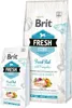 Brit Fresh Fish with Pumpkin Adult Large Muscles & Joints, Produktbild-Vorschau 5