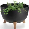 A black planter with three wooden legs and green ivy plants growing out of it, set against a white background. Produktbild-Vorschau