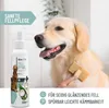 REAVET Fellpflege Pflegespray Kokos 250ml – Sanftes Produktbild-Vorschau 4