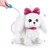 Pets Alive - Een speelgoedhondje in de vorm van een puppy Productafbeelding-voorbeeld 16