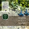 The Governor Natives Olivenöl Extra Aus Korfu Premium 500ml Produktbild-Vorschau 9