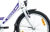 20 Zoll Kinderfahrrad Mädchen Rad mit Rücktrittbremse RH 33 Produktbild-Vorschau 4
