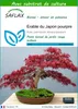 SAFLAX  - Erable du Japon pourpre - 20 graines - Avec Voir les images du produit 1