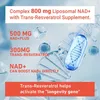 Liposomal NAD+ Trans-Resveratrol (120 Kapseln) Produktbild-Vorschau 4