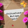 Mr. & Mrs. Panda doppelkarte Spruch Chihuahua Mut - Weiß - Produktbild-Vorschau 3