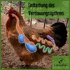 Canifee Naturzeolith für Hof- und Stalltiere, 100% Produktbild-Vorschau 5