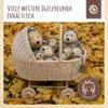 Bieco Igel Kuscheltier Baby Igel | Süßes Baby Geschenk Produktbild-Vorschau 6