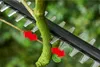 Bosch UniversalHedgePole 18 Akumulátorové teleskopické Náhľad obrázku produktu 6